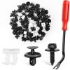 Nilight 101Pcs Engine Under Cover Push-Type Retainer for Lexus &Toyota Clips 90467-07201 Front Bumper Nut Grommet Avalon & Camry 90189-06193 Liner Screw Bolt 90159-60477 with Fastener Remover(111 Toyota Lexus Clips Tools)