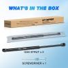 Nilight Hood Gas Struts Lift Supports 6489 for Hyundai Sonata 2011-2014 Spring Shocks 15 Inch, 2PCS Set Rod(6262)