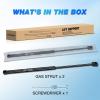 Nilight Hood Gas Struts Lift Supports 6489 for Hyundai Sonata 2011-2014 Spring Shocks 15 Inch, 2PCS Set Rod(6649)