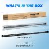 Nilight Hood Gas Struts Lift Supports 6489 for Hyundai Sonata 2011-2014 Spring Shocks 15 Inch, 2PCS Set Rod(6650)