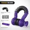 Nilight 3/4 inch D Ring Shackle 2 Pack 19T (41,887 lbs) Break Strength 4.75T WLL Heavy Duty Towing Hook with Anti-Theft System Anti-Rattle Isolators for Truck Jeep SUV ATV UTV Recovery Black(Purple 3/4″ 2 Pack)