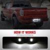 Nilight License Plate Light Compatible with 1994 1995 1996 1997 1998 1999 2000 2001 Dodge Ram 1500 2500 3500 2002 RAM 2500 3500 6000K White 2PCS Pack(Black 1990-2014 Ford F150/1983-2011 Ford Ranger)