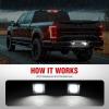 Nilight License Plate Light Compatible with 1994 1995 1996 1997 1998 1999 2000 2001 Dodge Ram 1500 2500 3500 2002 RAM 2500 3500 6000K White 2PCS Pack(Smoke 2015-2020 F150)