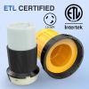 Nilight 50 AMP RV Shore Power Inlet 125/250V Twist Lock Receptacle NEMA SS2-50P ETL Listed Enclosed Lockable Flanged Male Plug for RVs Camper Caravan Motorhome Van(30A Cord Connector Kit)
